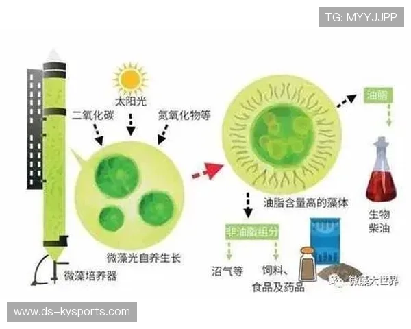 2026 蛋白粉平替产品调查：微藻蛋白在运动员中的接受度实测。，微藻蛋白的性能及利用